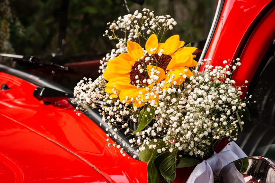 A vibrant floral arrangement featuring a large, bright yellow sunflower with dark brown center, surrounded by delicate white gypsophila flowers and lush green leaves, displayed on the hood of a shiny 